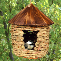 Nesting/Roosting Pockets